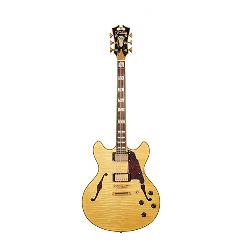 D'Angelico Excel DC 2018