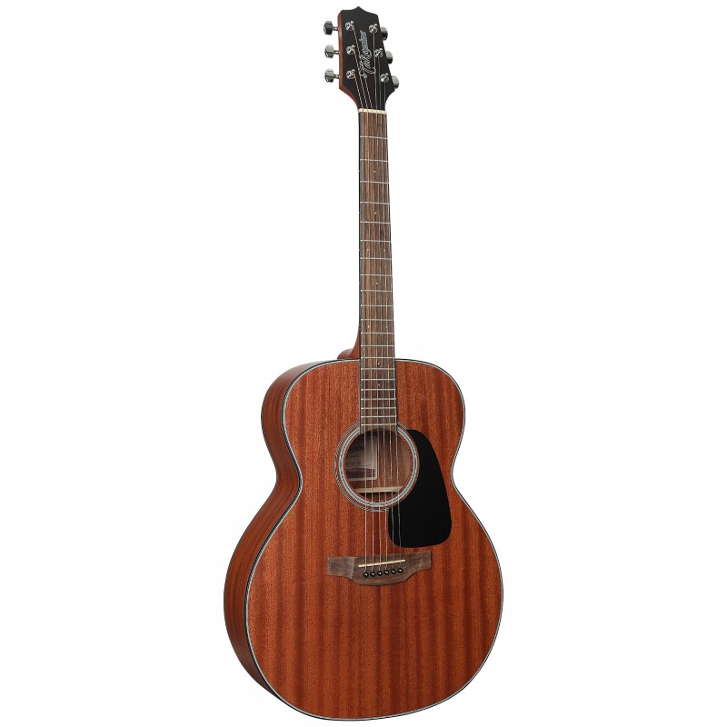 TAKAMINE GN11M-NS